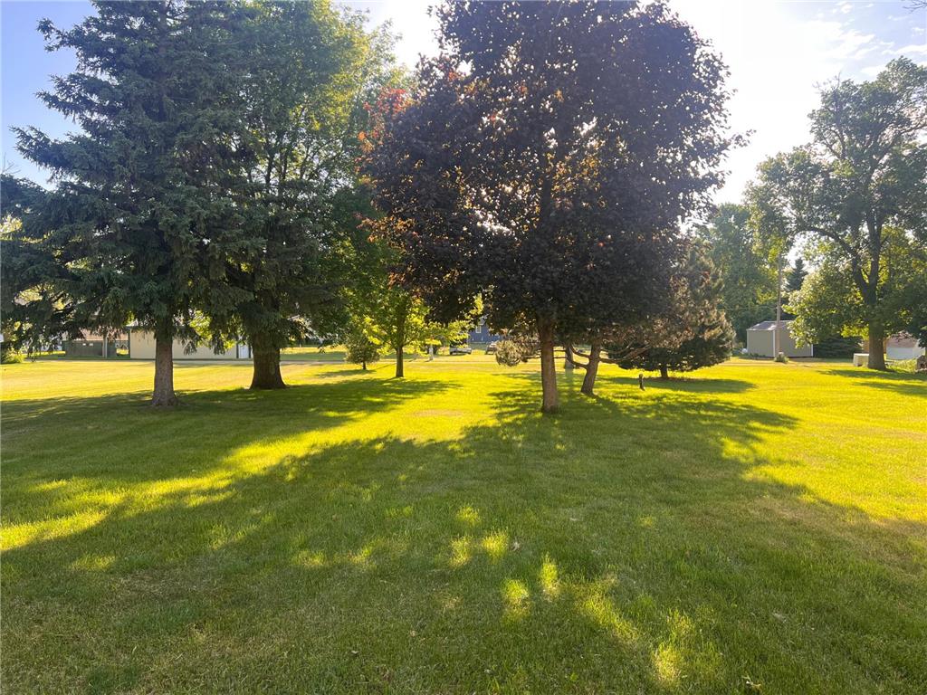 311 S Tyler Street Tyler MN 56178 7088451 image6