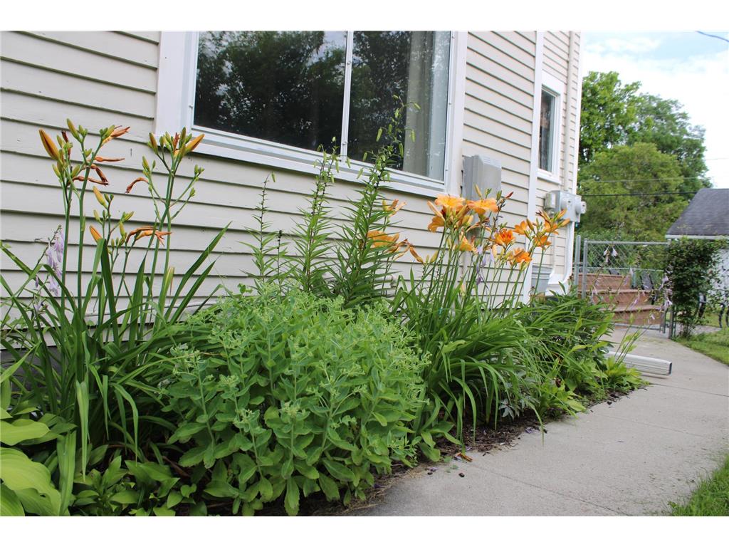 311 W 7th Street Morris MN 56267 6698020 image9