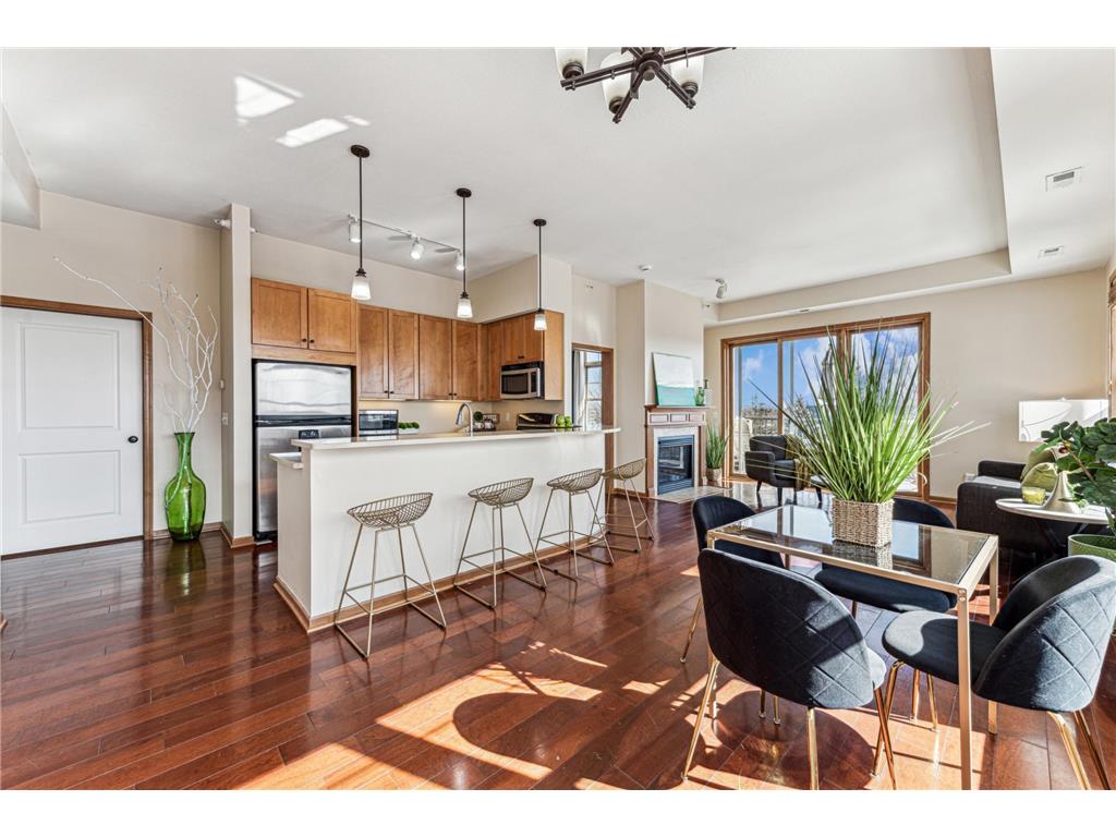 3110 N Chestnut Street #417 Chaska MN 55318 6634261 image1