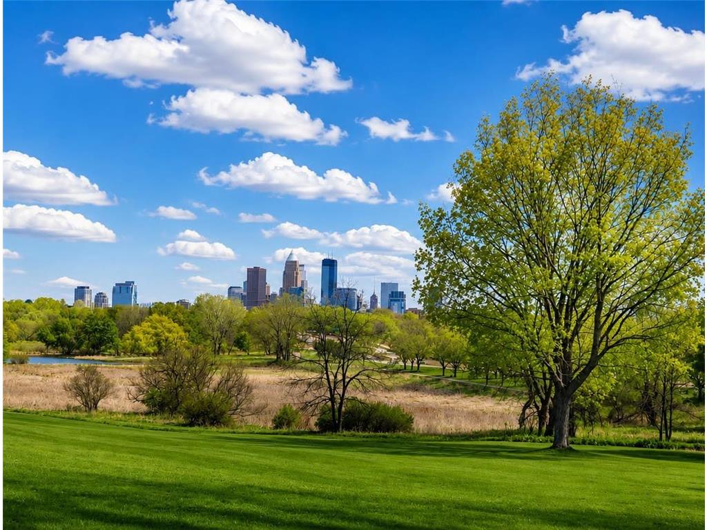 3111 Logan Avenue N Minneapolis MN 55411 7098757 image22