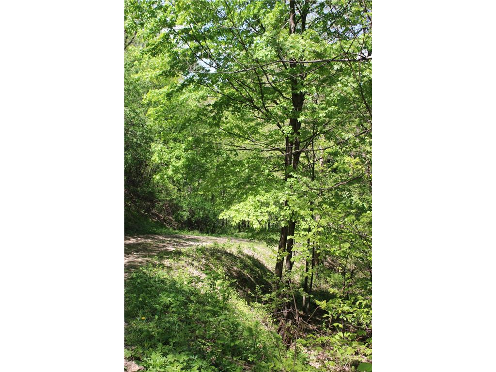 31127 Levi Path Lake City MN 55041 7049987 image60