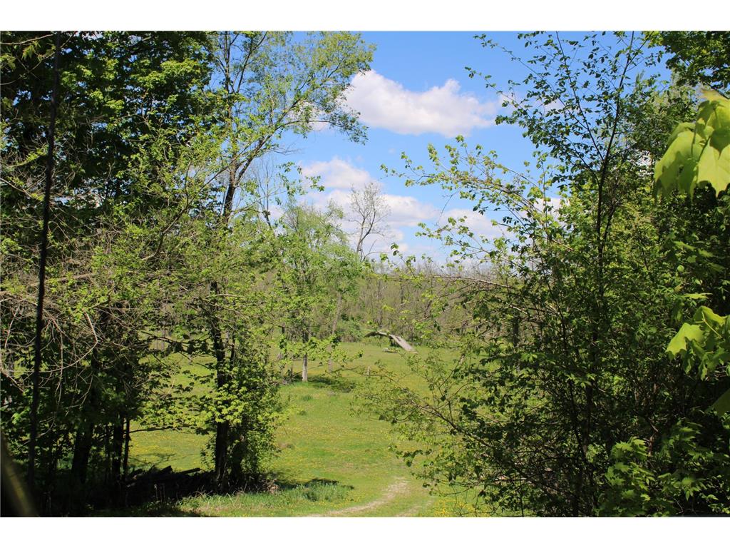 31127 Levi Path Lake City MN 55041 7049987 image61