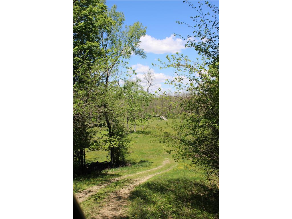 31127 Levi Path Lake City MN 55041 7049987 image62