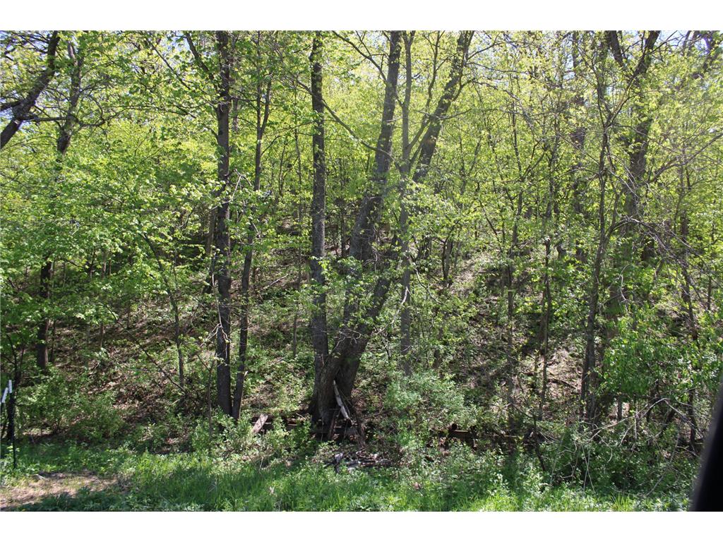 31127 Levi Path Lake City MN 55041 7049987 image65