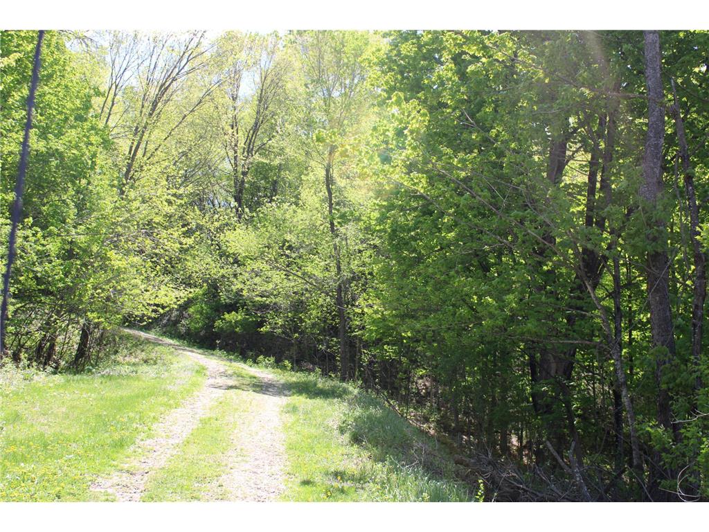 31127 Levi Path Lake City MN 55041 7049987 image85