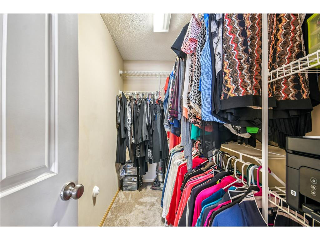 3114 Frontier Drive Woodbury MN 55129 6814071 image43