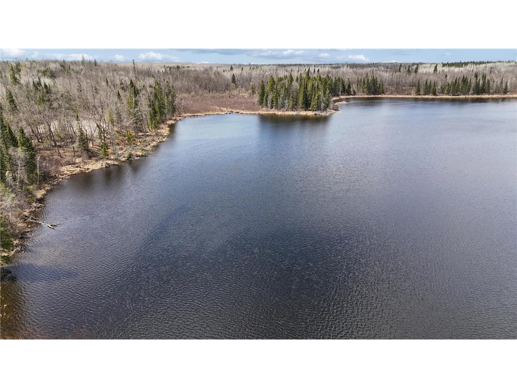 31149 County Road 40 Effie MN 56639 - Round Lake 7068685 image46