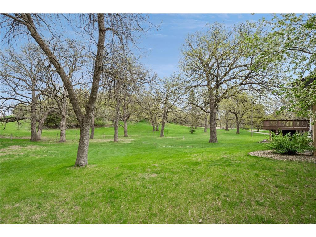 3115 Cahill Avenue SE Buffalo MN 55313 7086671 image58