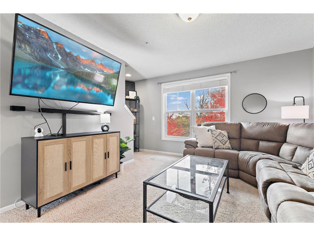 3115 Clover Ridge Drive Chaska MN 55318 7014282 image19