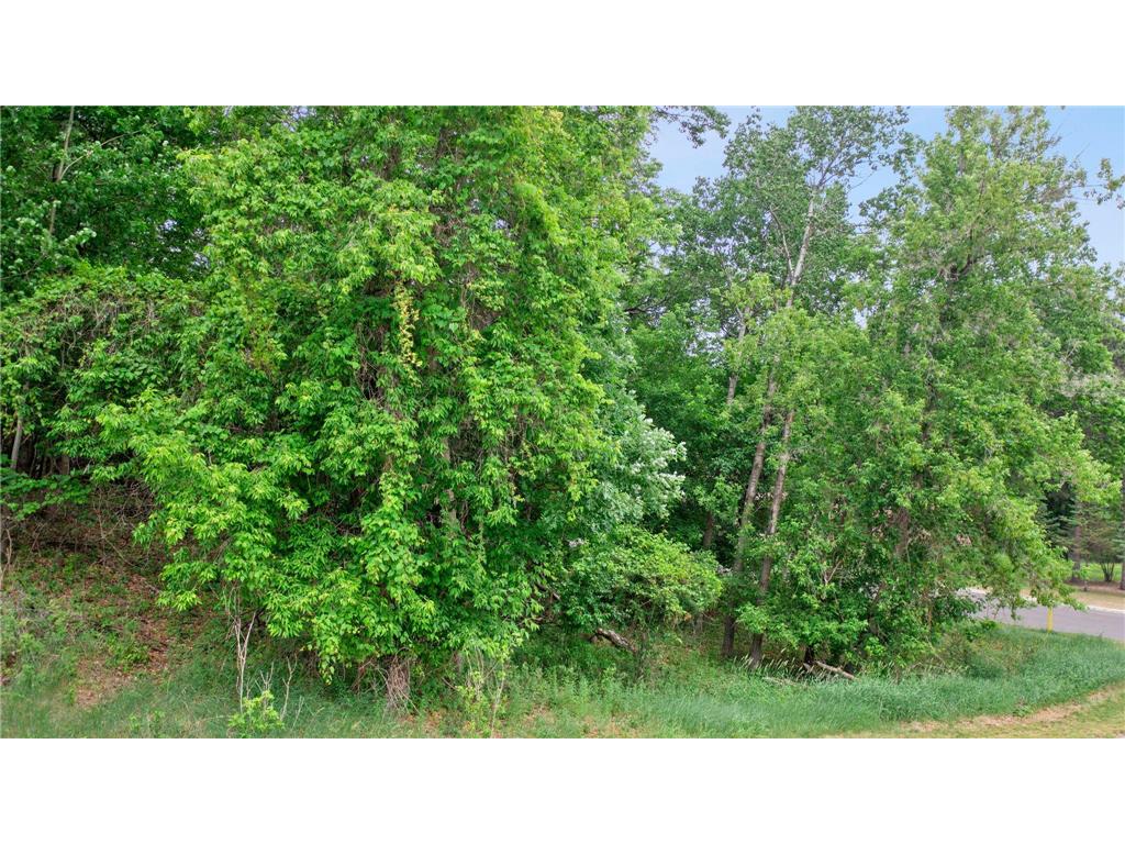 3115 Laurel Street S Cambridge MN 55008 7087037 image7