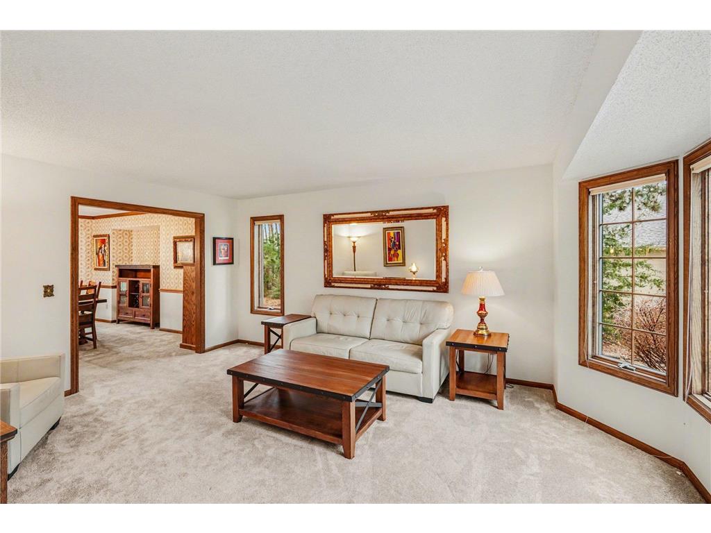 3118 139th Avenue NW Andover MN 55304 7031444 image10