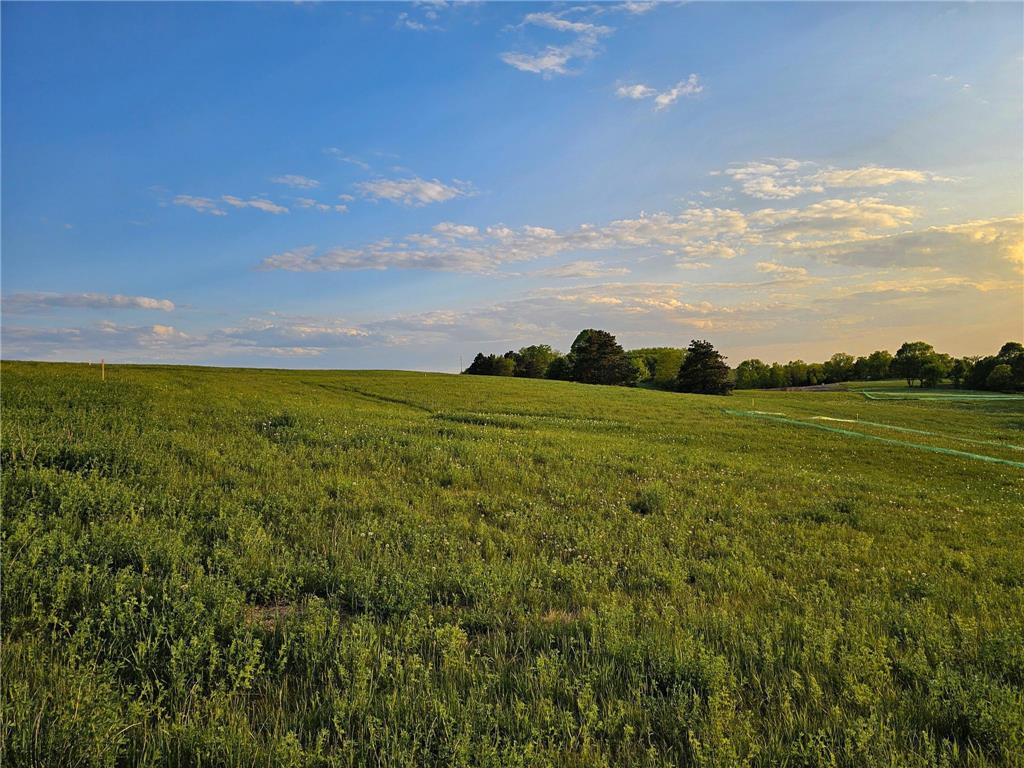 311XX 452nd St [B1] Vergas MN 56587 - East Loon 6700771 image8