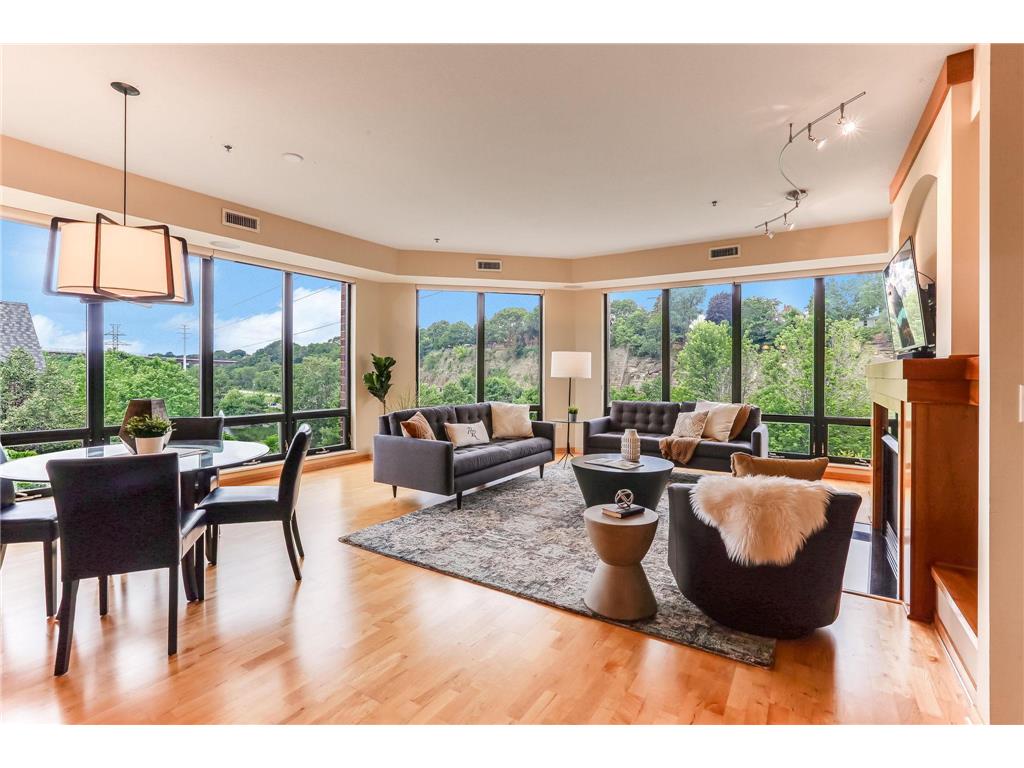 312 Spring Street #309 Saint Paul MN 55102 - Mississippi 6812826 image1