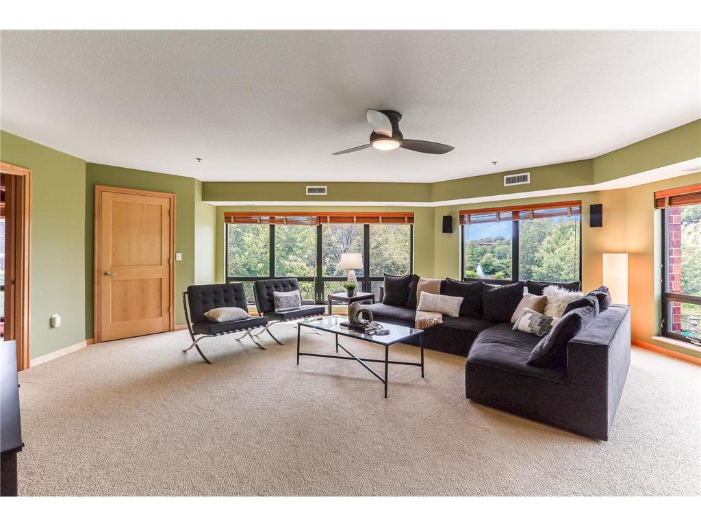 312 Spring Street #309 Saint Paul MN 55102 - Mississippi 6812826 image19