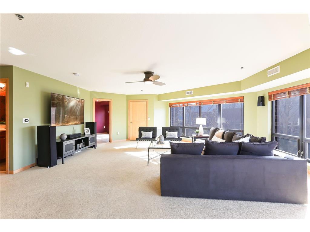 312 Spring Street #309 Saint Paul MN 55102 - Mississippi 6812826 image21