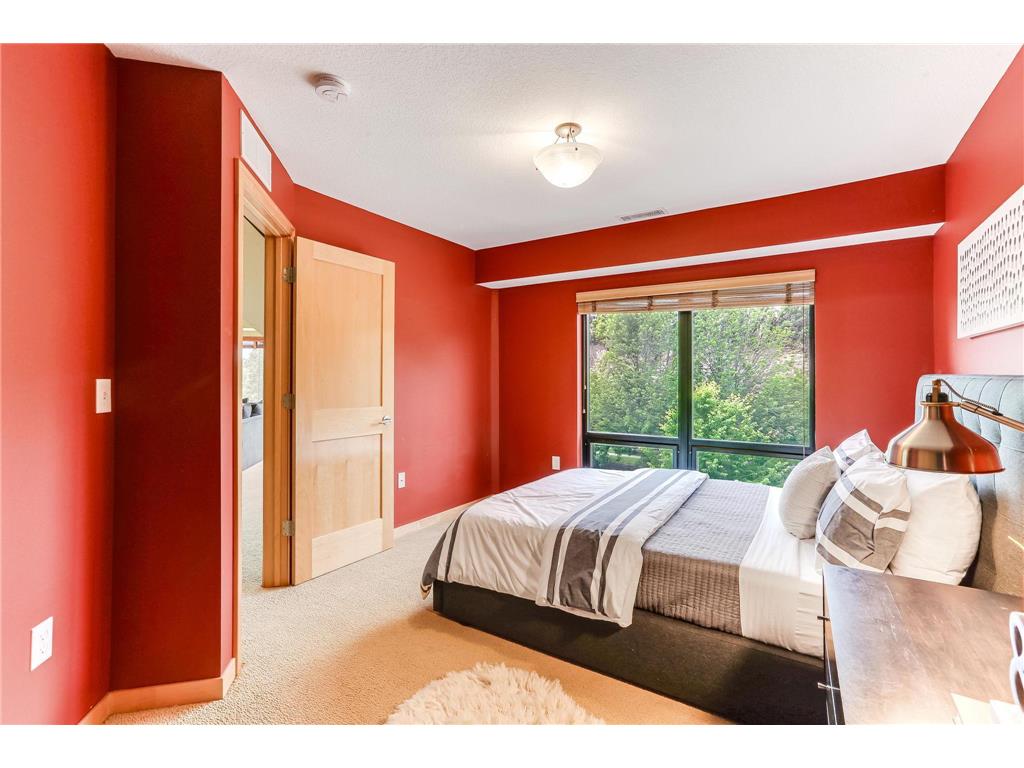 312 Spring Street #309 Saint Paul MN 55102 - Mississippi 6812826 image22