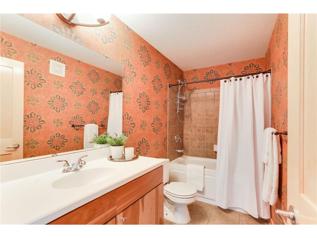 312 Spring Street #309 Saint Paul MN 55102 - Mississippi 6812826 image24