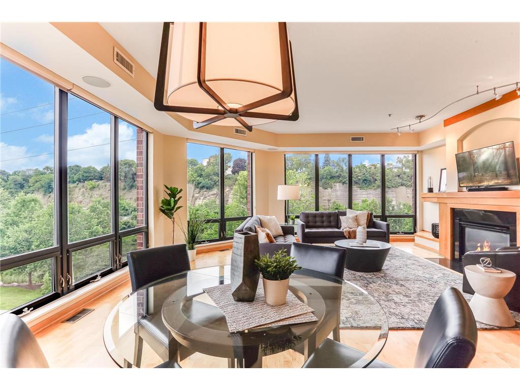 312 Spring Street #309 Saint Paul MN 55102 - Mississippi 6812826 image3