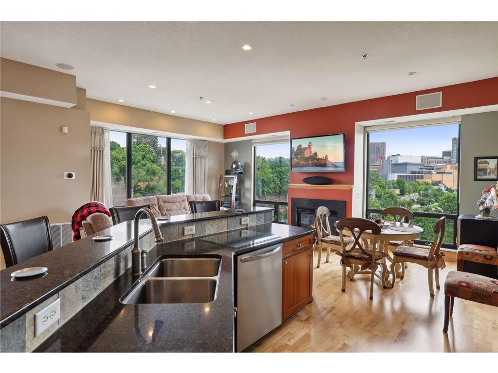 312 Spring Street #401 Saint Paul MN 55102 - Mississippi 6659062 image1