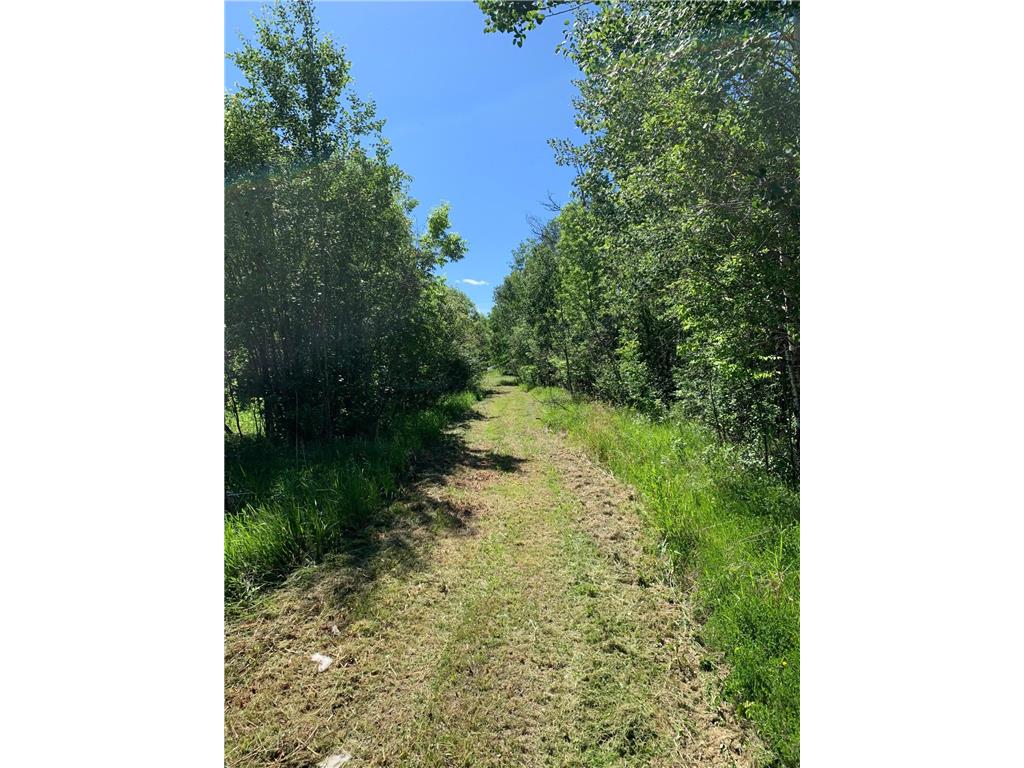 3121 County Road 2 S International Falls MN 56649 7096026 image9