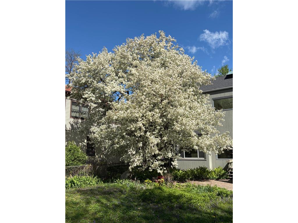 3121 E 22nd Street Minneapolis MN 55406 7017100 image25