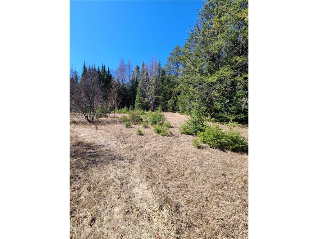 3121 Highway 21 Babbitt MN 55706 7058078 image1