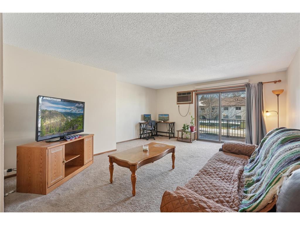 3125 Cory Lane #208 Hastings MN 55033 7007685 image10