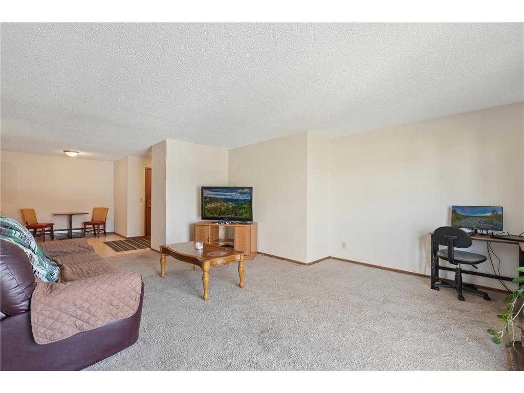 3125 Cory Lane #208 Hastings MN 55033 7007685 image12