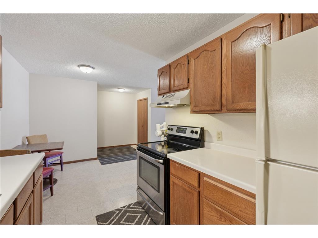 3125 Cory Lane #208 Hastings MN 55033 7007685 image4