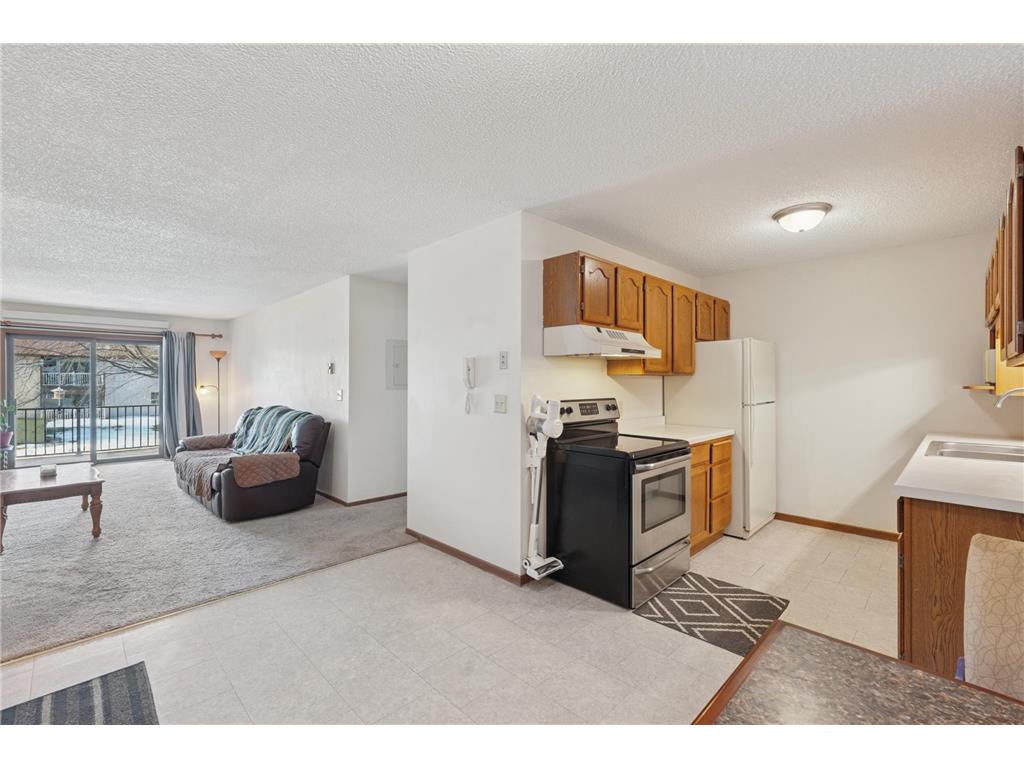 3125 Cory Lane #208 Hastings MN 55033 7007685 image5