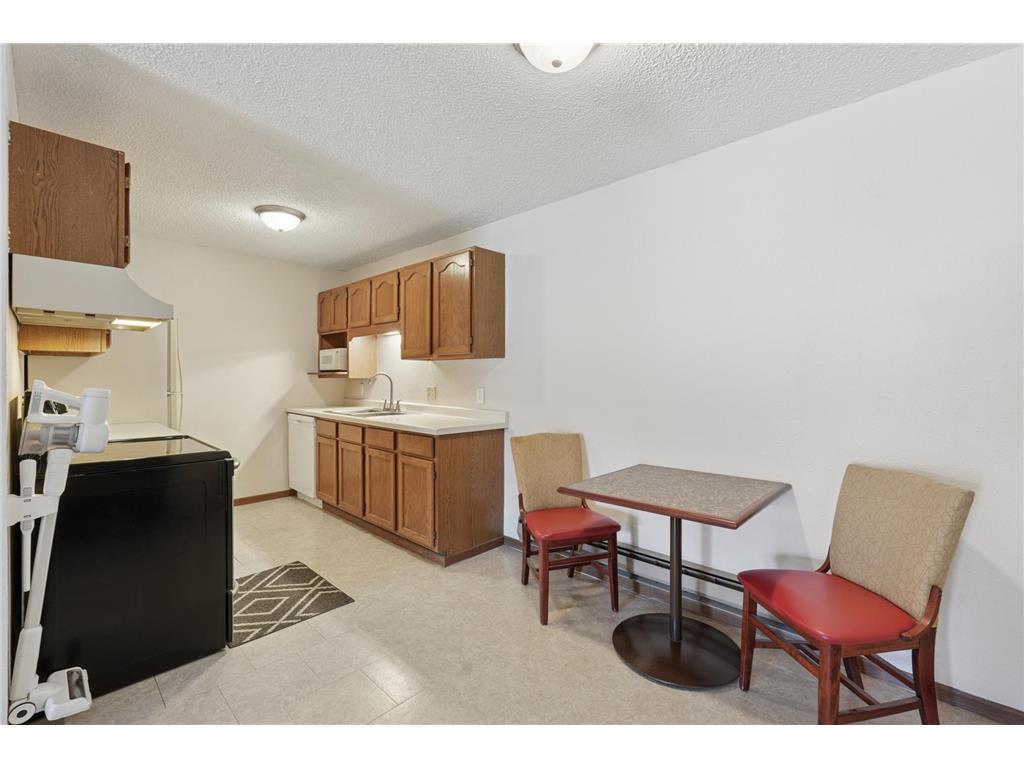 3125 Cory Lane #208 Hastings MN 55033 7007685 image6