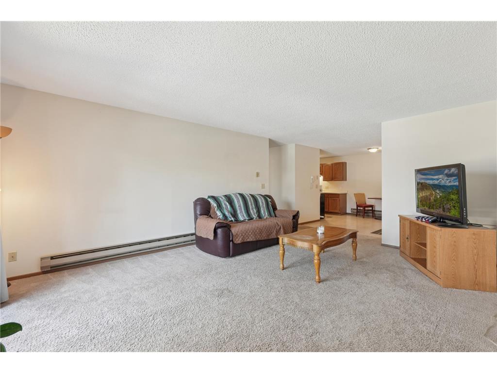 3125 Cory Lane #208 Hastings MN 55033 7007685 image9