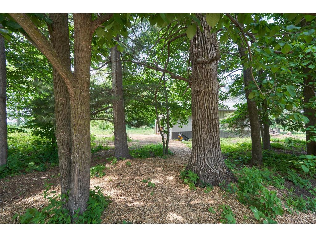 3126 44th Street SW Walden Twp MN 56472 7067517 image25