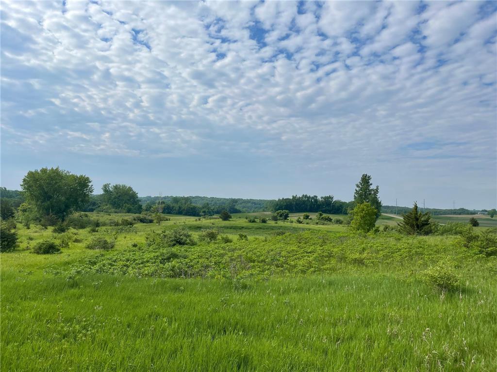 31265 Bridgeview Court Paynesville MN 56362 6381147 image1