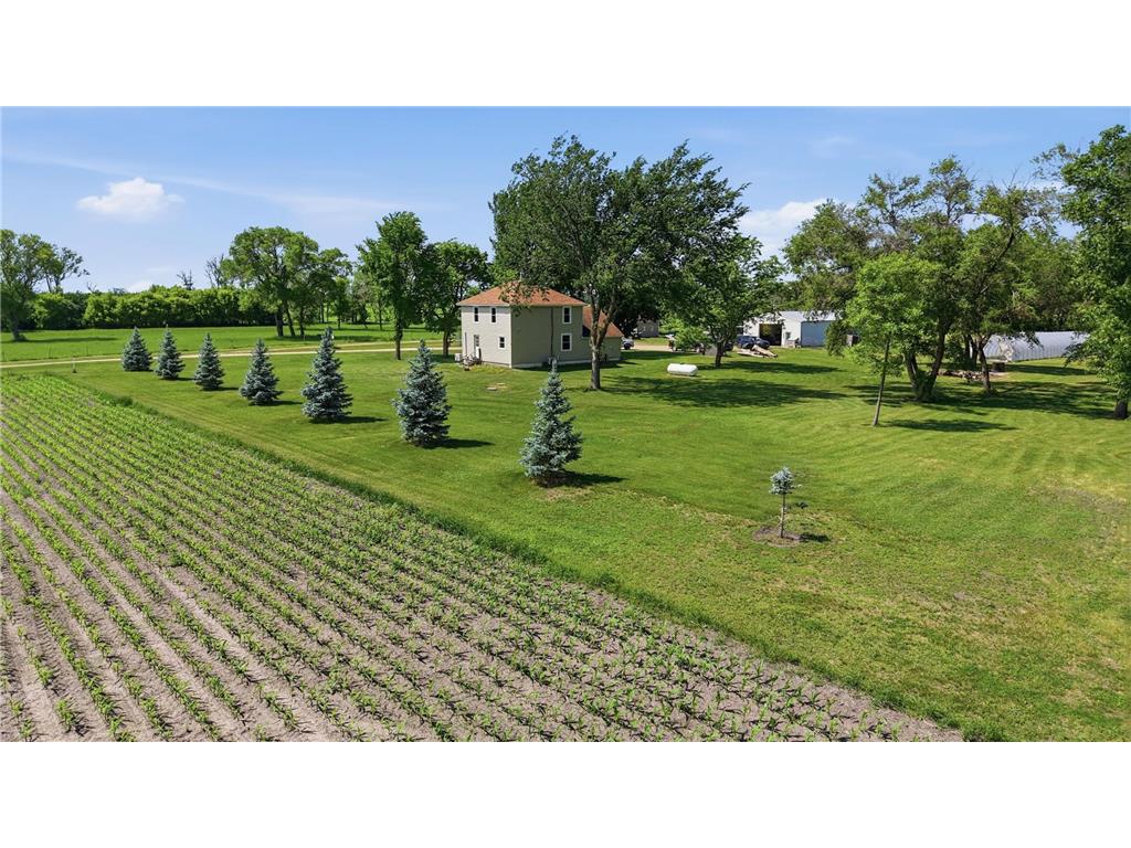 3127 150th Street N Spring Prairie Twp MN 56547 7089962 image32