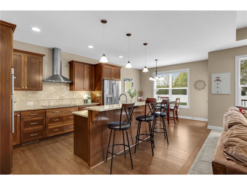 3127 171st Avenue NE Ham Lake MN 55304 7067806 image23