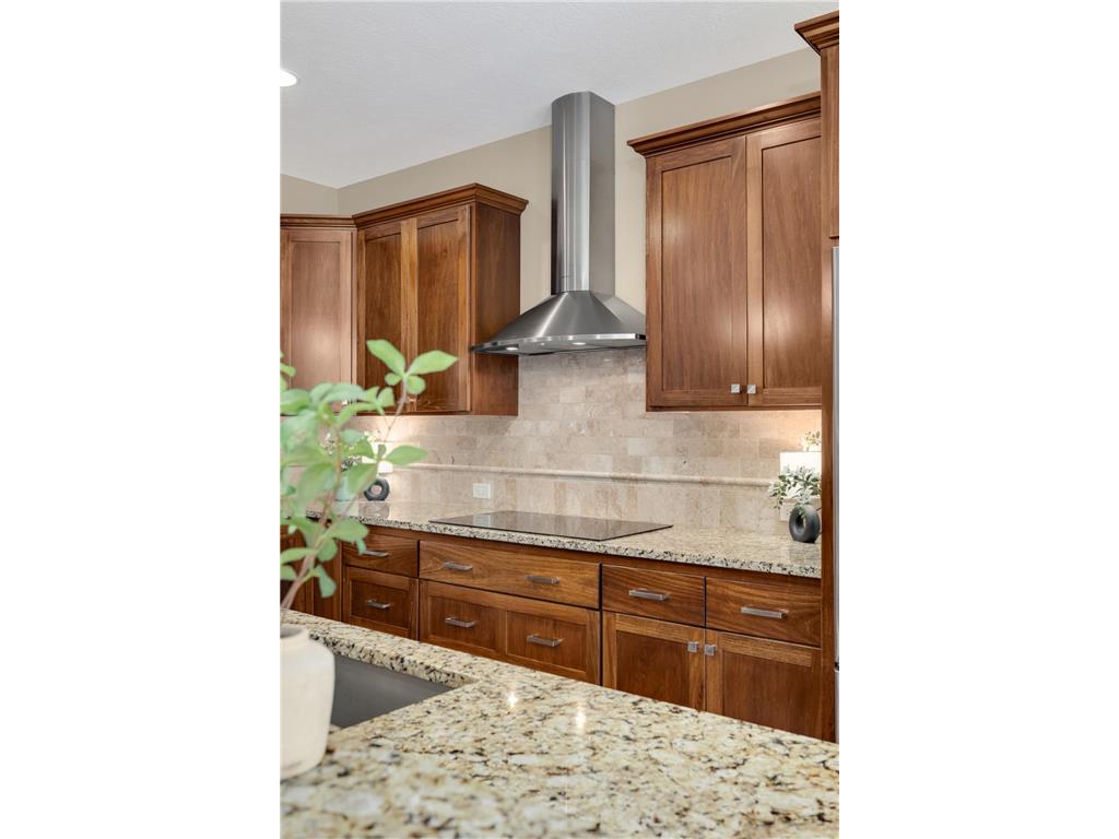 3127 171st Avenue NE Ham Lake MN 55304 7067806 image28