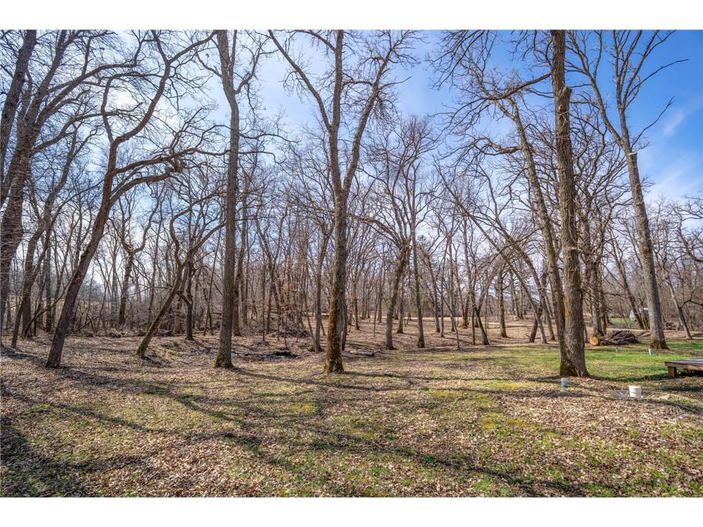 31274 160th Avenue Lake Johanna Twp MN 56316 7057422 image3