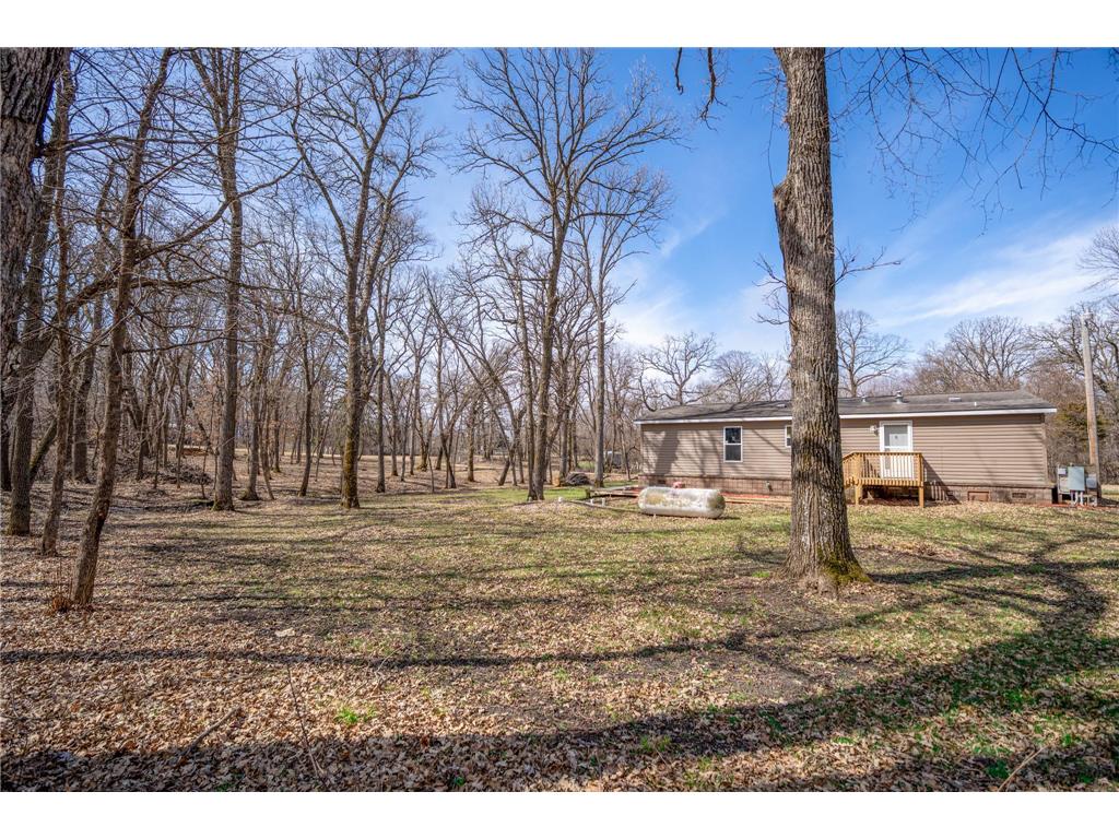 31274 160th Avenue Lake Johanna Twp MN 56316 7057422 image4