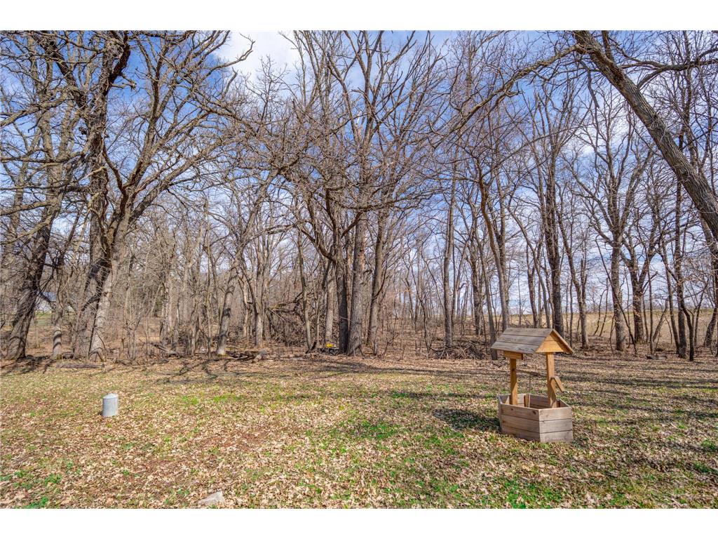 31274 160th Avenue Lake Johanna Twp MN 56316 7057422 image6