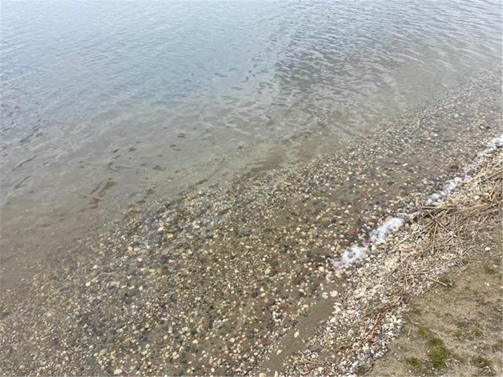 31281 Brightwood Shore Drive Star Lake Twp MN 56528 - Dead Lake 7042092 image22