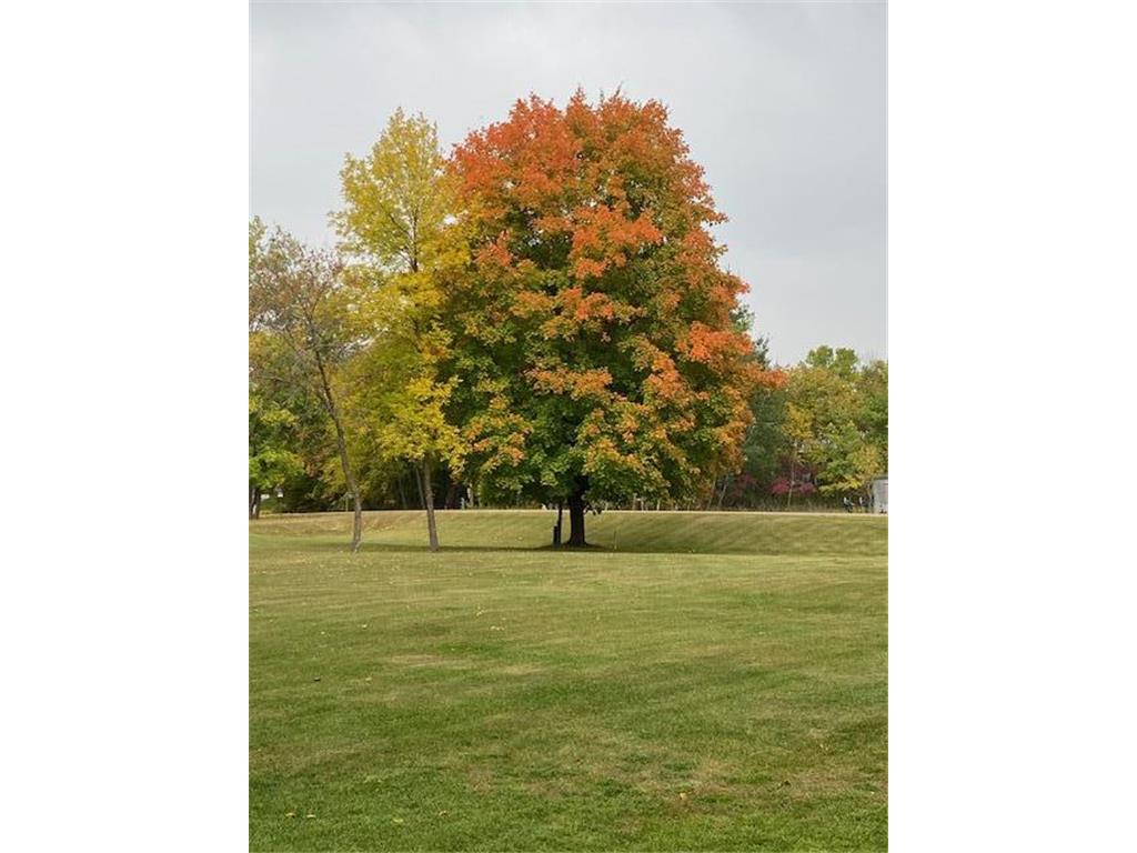 31281 Brightwood Shore Drive Star Lake Twp MN 56528 - Dead Lake 7042092 image4