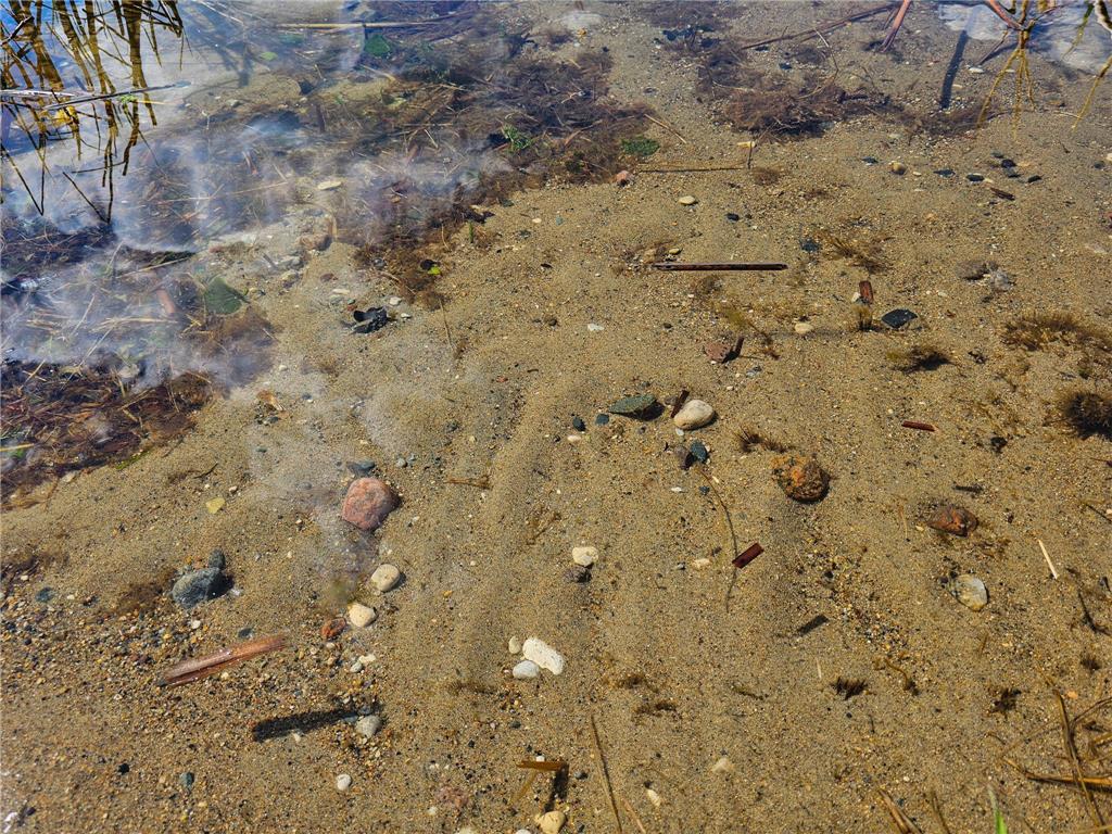 320XX 452nd St [A2] Vergas MN 56587 - East Loon 6728162 image12