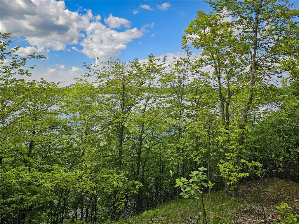 320XX 452nd St [A2] Vergas MN 56587 - East Loon 6728162 image8