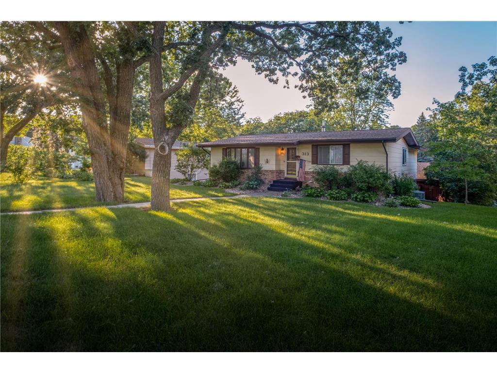 313 2nd Avenue NE, New London, MN, 56273 MLS 6245220 Edina Realty