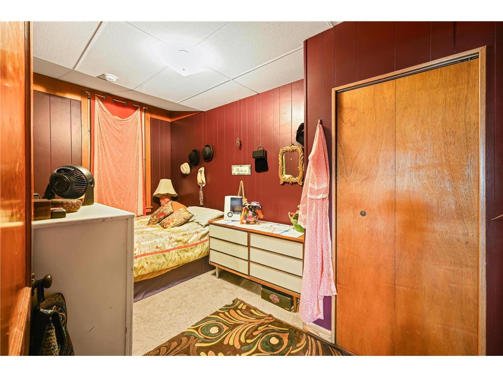 313 2nd Street E Hastings MN 55033 6788899 image21