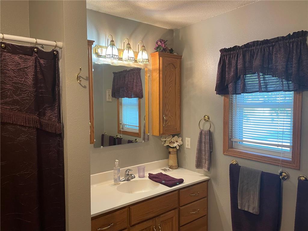 313 Alex Moore Street Sauk Centre MN 56378 6793077 image19