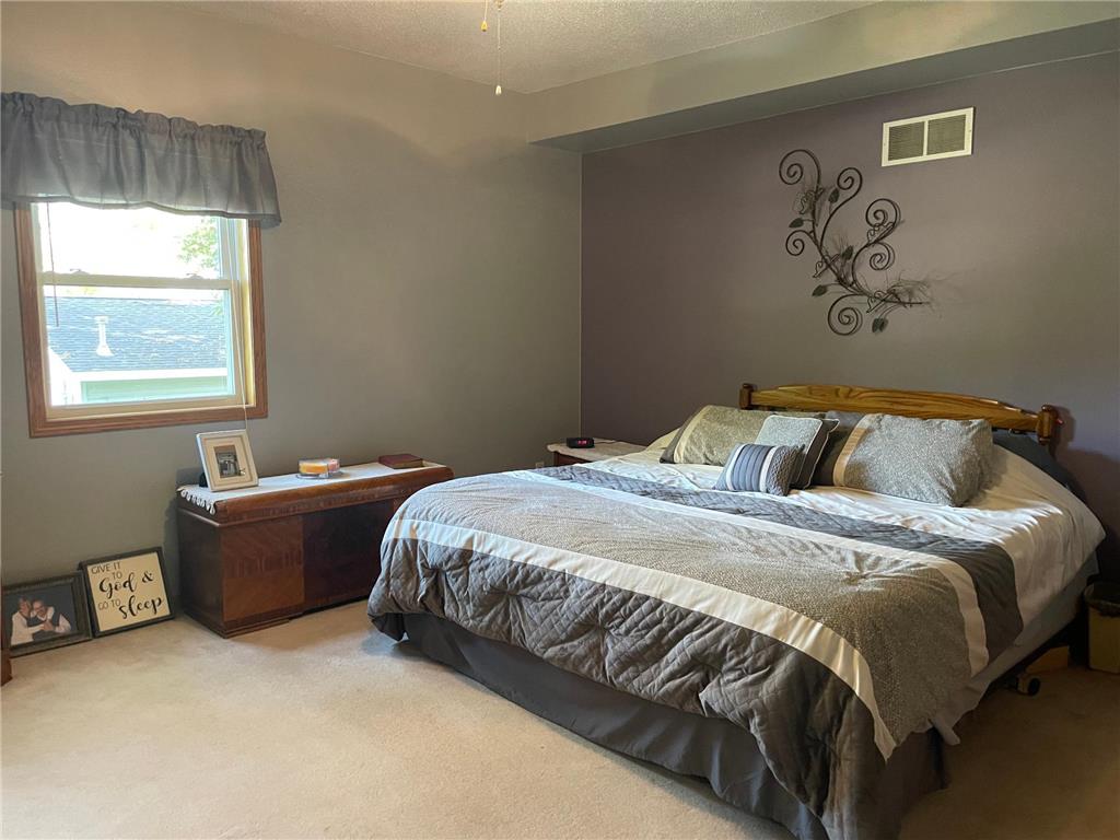 313 Alex Moore Street Sauk Centre MN 56378 6793077 image8