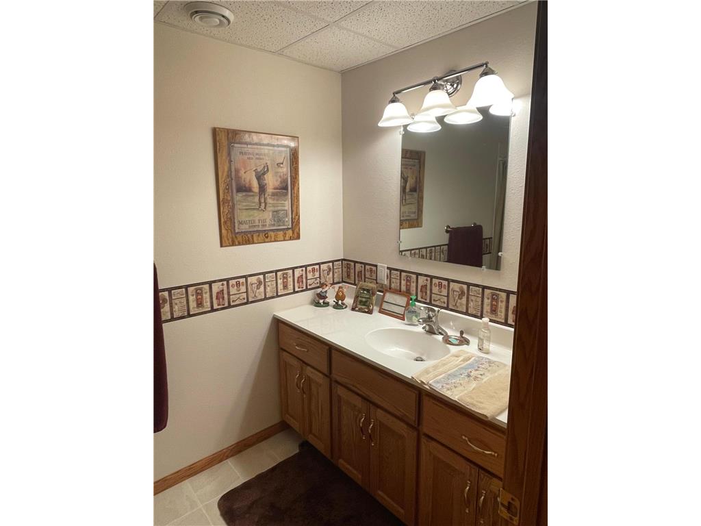 313 Alex Moore Street Sauk Centre MN 56378 6793077 image9