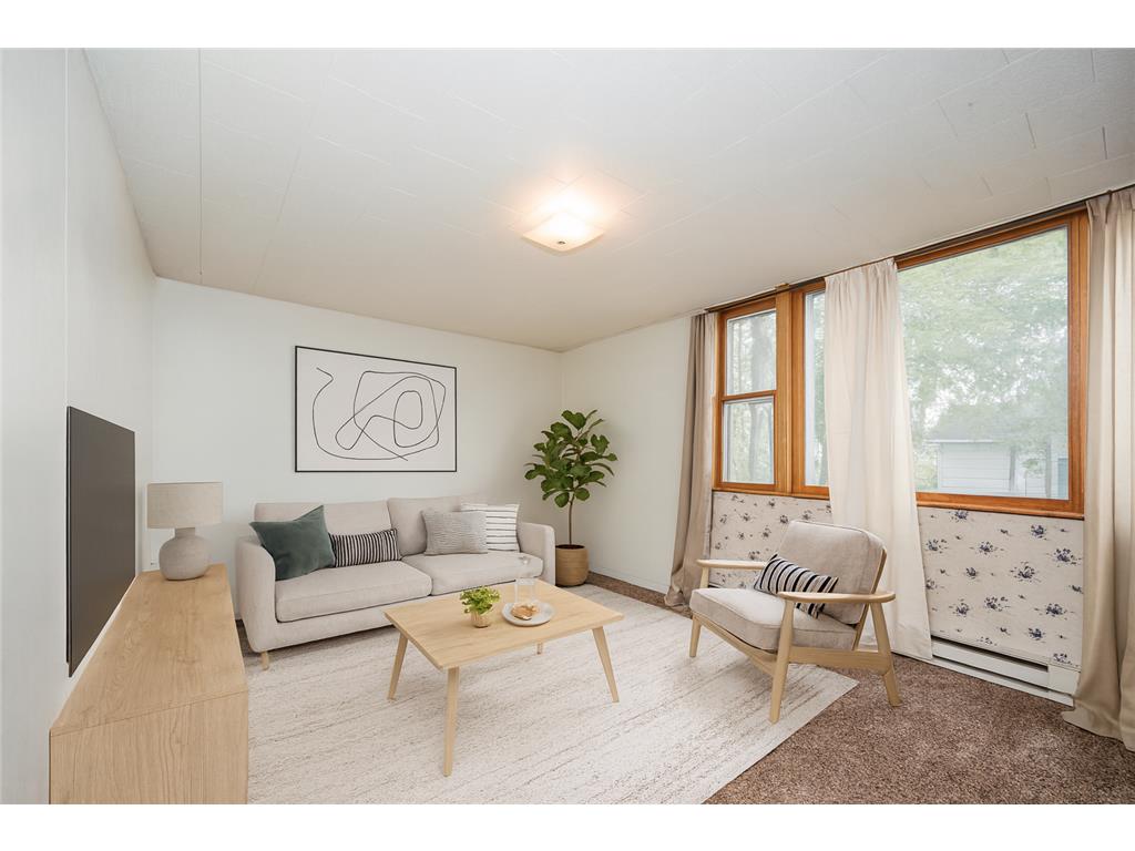 313 Elizabeth Street Detroit Lakes MN 56501 7076709 image28